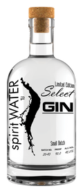 GIN