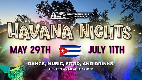 Havana Nights